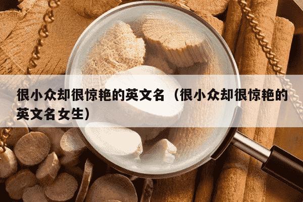 很小众却很惊艳的英文名（很小众却很惊艳的英文名女生）