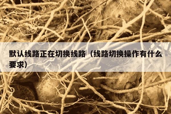 默认线路正在切换线路（线路切换操作有什么要求）