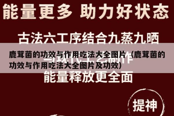 鹿茸菌的功效与作用吃法大全图片（鹿茸菌的功效与作用吃法大全图片及功效）