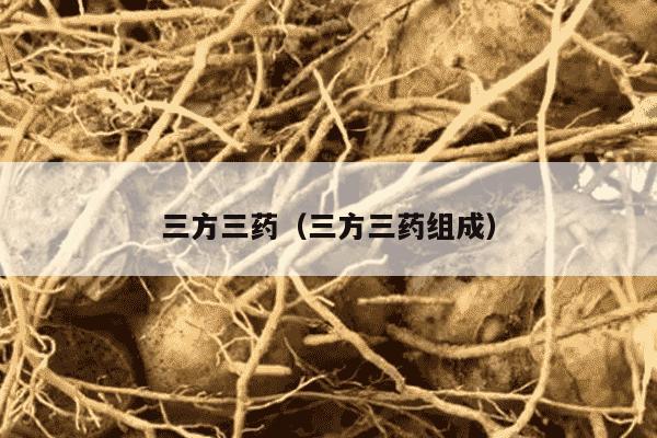 三方三药（三方三药组成）
