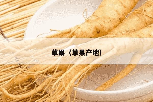 草果（草果产地）