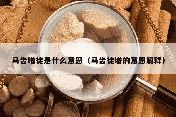 马齿增徒是什么意思（马齿徒增的意思解释）