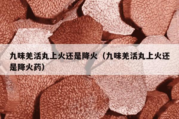 九味羌活丸上火还是降火（九味羌活丸上火还是降火药）