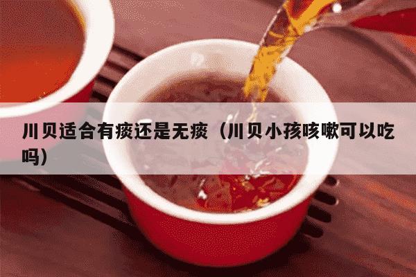 川贝适合有痰还是无痰（川贝小孩咳嗽可以吃吗）