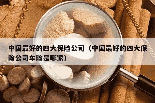 中国最好的四大保险公司（中国最好的四大保险公司车险是哪家）