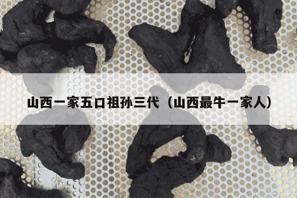 山西一家五口祖孙三代（山西最牛一家人）