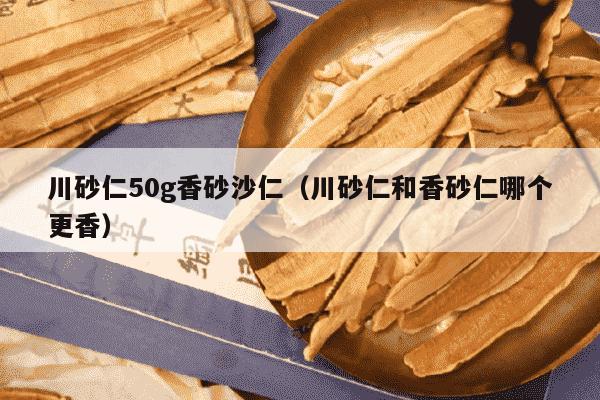 川砂仁50g香砂沙仁（川砂仁和香砂仁哪个更香）