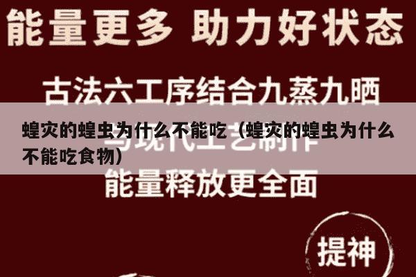 蝗灾的蝗虫为什么不能吃（蝗灾的蝗虫为什么不能吃食物）