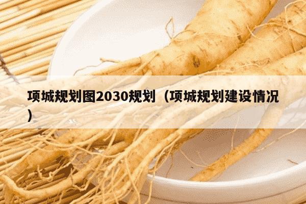 项城规划图2030规划（项城规划建设情况）