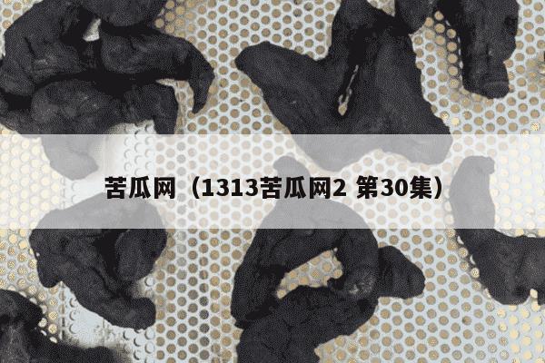 苦瓜网（1313苦瓜网2 第30集）