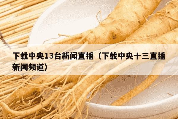下载中央13台新闻直播（下载中央十三直播新闻频道）