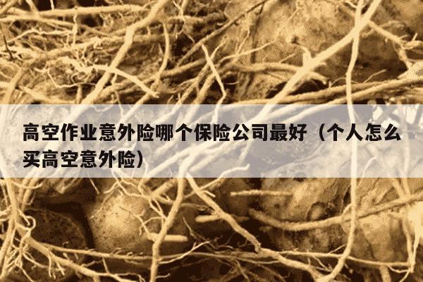 高空作业意外险哪个保险公司最好（个人怎么买高空意外险）