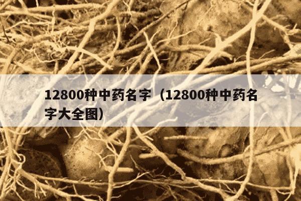 12800种中药名字（12800种中药名字大全图）