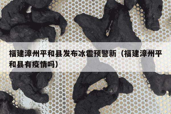 福建漳州平和县发布冰雹预警新（福建漳州平和县有疫情吗）