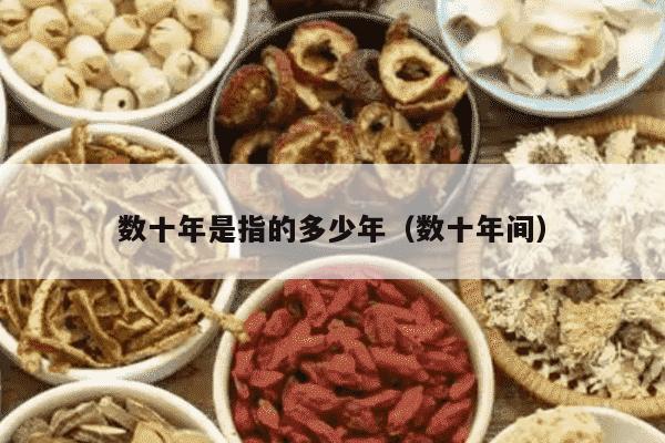 数十年是指的多少年（数十年间）