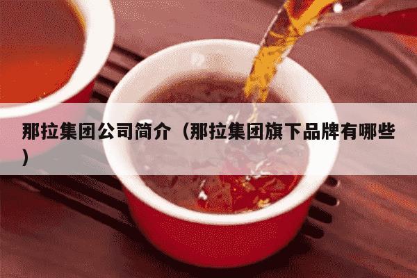 那拉集团公司简介（那拉集团旗下品牌有哪些）