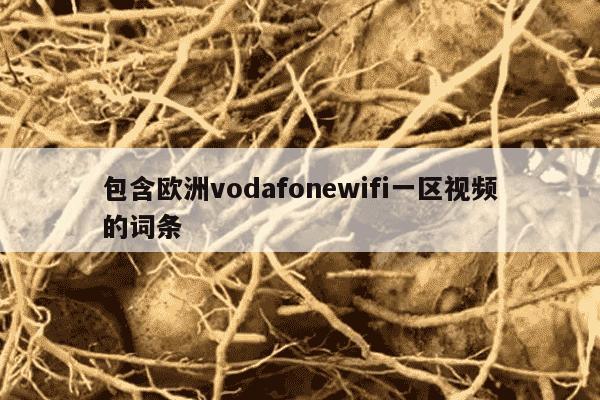 包含欧洲vodafonewifi一区视频的词条