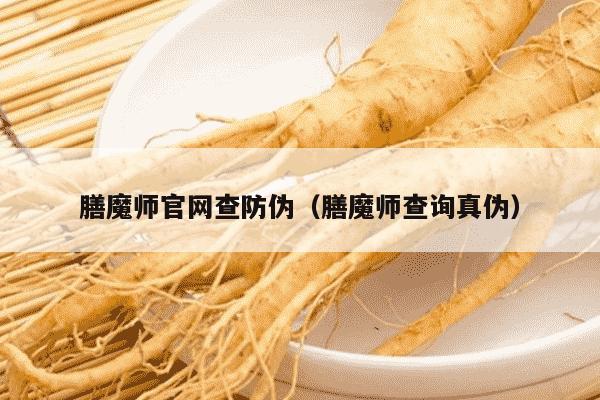 膳魔师官网查防伪（膳魔师查询真伪）