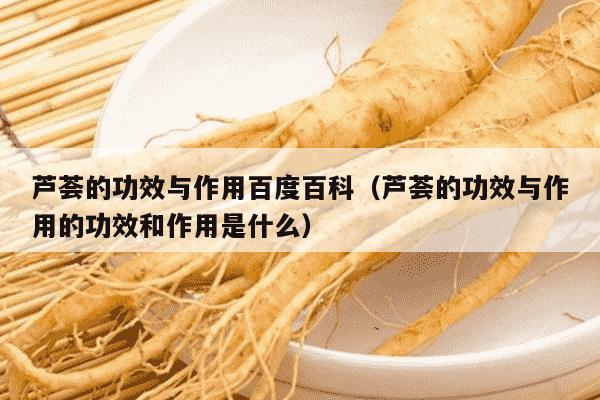 芦荟的功效与作用百度百科（芦荟的功效与作用的功效和作用是什么）
