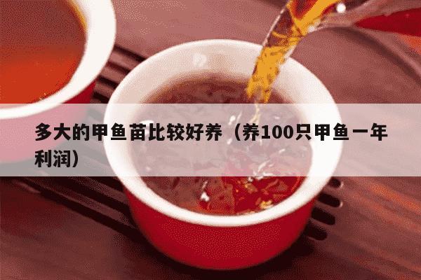 多大的甲鱼苗比较好养（养100只甲鱼一年利润）