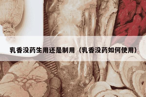 乳香没药生用还是制用（乳香没药如何使用）