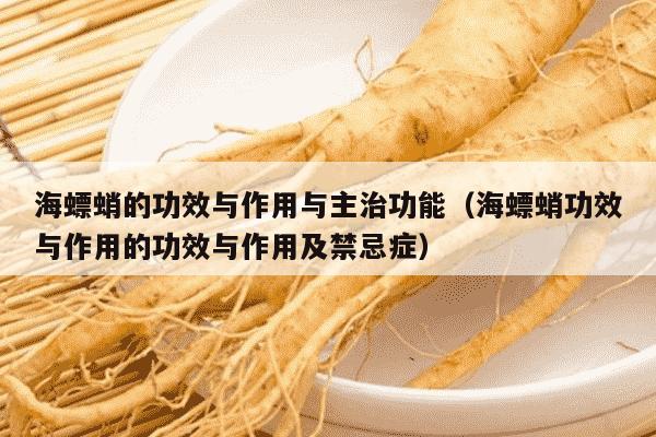海螵蛸的功效与作用与主治功能（海螵蛸功效与作用的功效与作用及禁忌症）