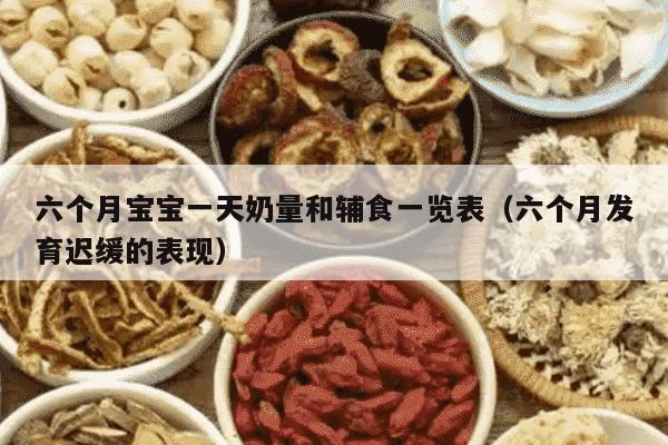六个月宝宝一天奶量和辅食一览表（六个月发育迟缓的表现）