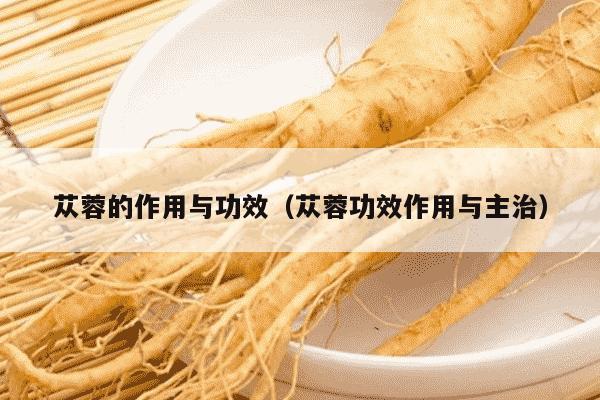 苁蓉的作用与功效（苁蓉功效作用与主治）