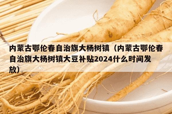 内蒙古鄂伦春自治旗大杨树镇（内蒙古鄂伦春自治旗大杨树镇大豆补贴2024什么时间发放）