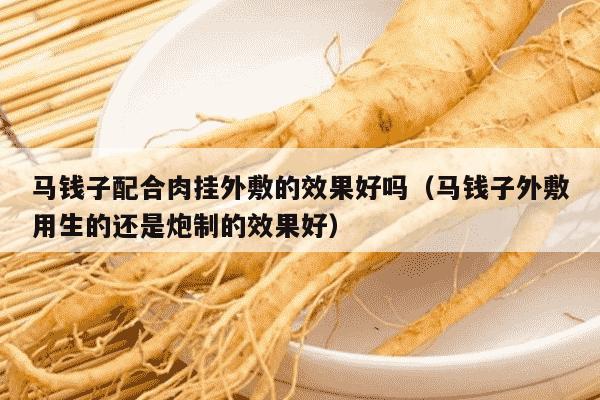 马钱子配合肉挂外敷的效果好吗（马钱子外敷用生的还是炮制的效果好）