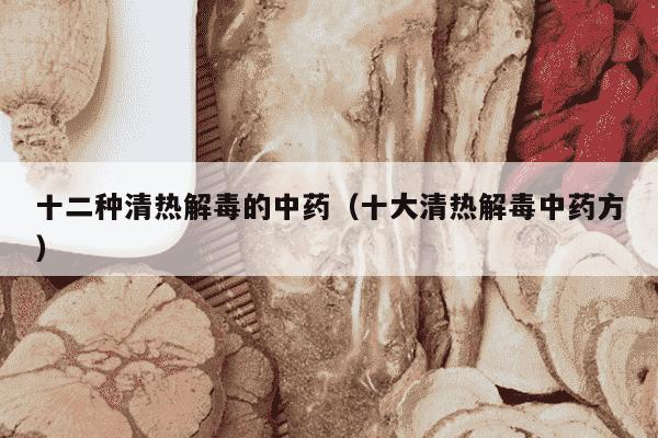 十二种清热解毒的中药（十大清热解毒中药方）