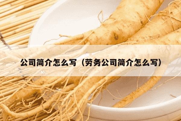 公司简介怎么写（劳务公司简介怎么写）