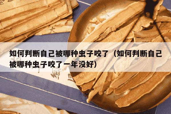 如何判断自己被哪种虫子咬了（如何判断自己被哪种虫子咬了一年没好）
