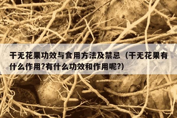 干无花果功效与食用方法及禁忌（干无花果有什么作用?有什么功效和作用呢?）