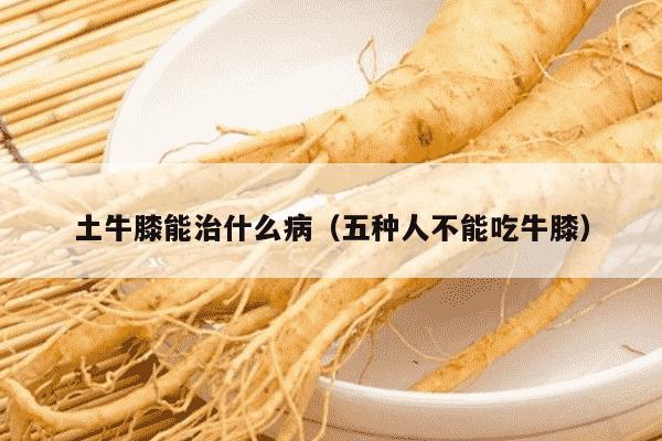 土牛膝能治什么病（五种人不能吃牛膝）