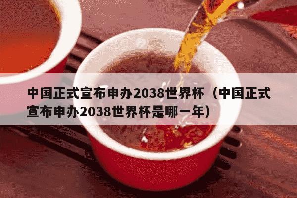 中国正式宣布申办2038世界杯（中国正式宣布申办2038世界杯是哪一年）