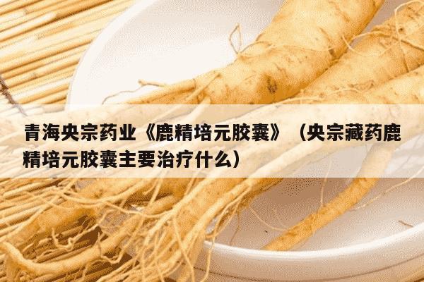 青海央宗药业《鹿精培元胶囊》（央宗藏药鹿精培元胶囊主要治疗什么）