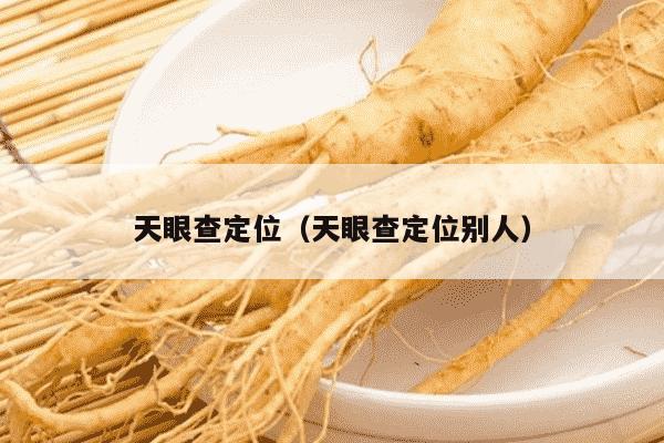 天眼查定位（天眼查定位别人）