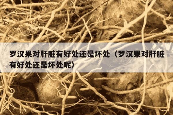 罗汉果对肝脏有好处还是坏处（罗汉果对肝脏有好处还是坏处呢）