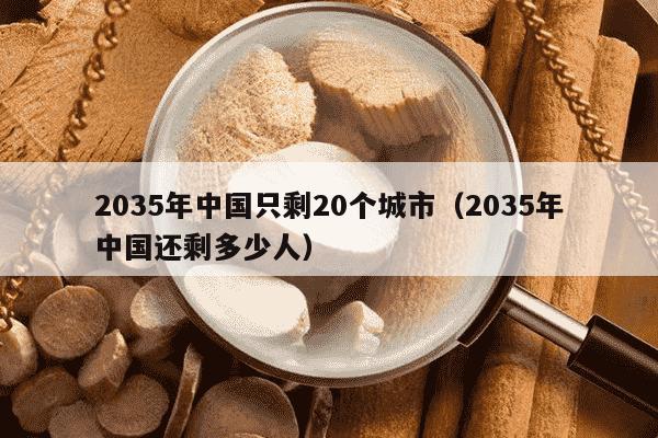 2035年中国只剩20个城市（2035年中国还剩多少人）