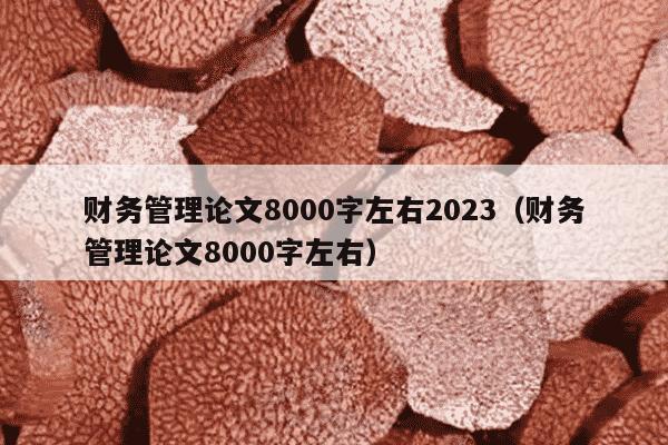财务管理论文8000字左右2023（财务管理论文8000字左右）