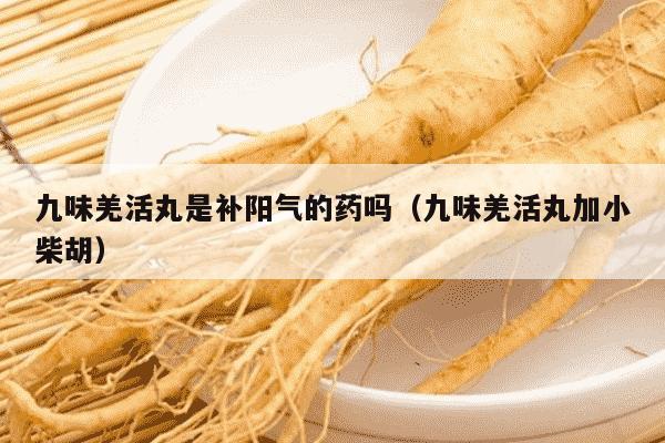 九味羌活丸是补阳气的药吗（九味羌活丸加小柴胡）