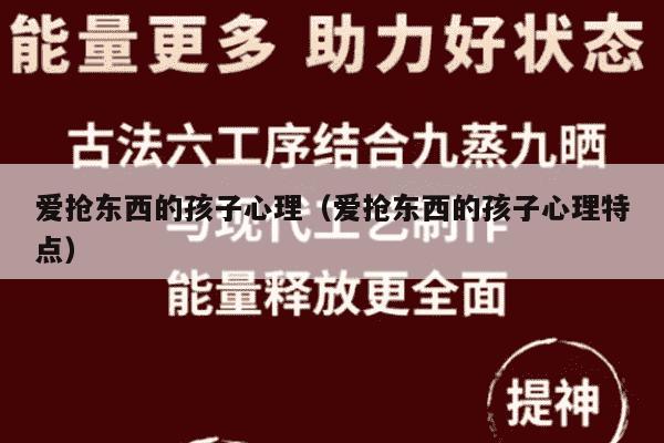 爱抢东西的孩子心理（爱抢东西的孩子心理特点）