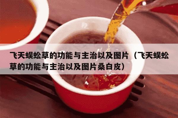 飞天蜈蚣草的功能与主治以及图片（飞天蜈蚣草的功能与主治以及图片桑白皮）