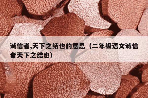 诚信者,天下之结也的意思（二年级语文诚信者天下之结也）