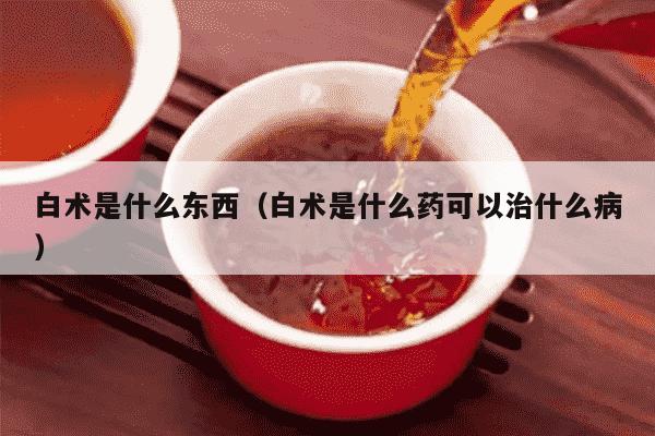 白术是什么东西（白术是什么药可以治什么病）