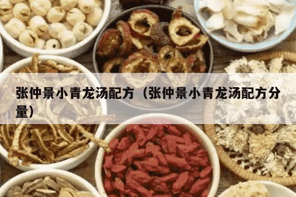张仲景小青龙汤配方（张仲景小青龙汤配方分量）