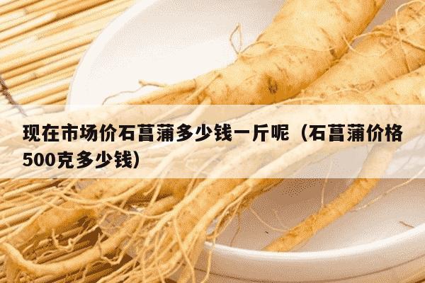 现在市场价石菖蒲多少钱一斤呢（石菖蒲价格500克多少钱）