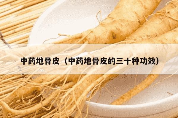 中药地骨皮（中药地骨皮的三十种功效）