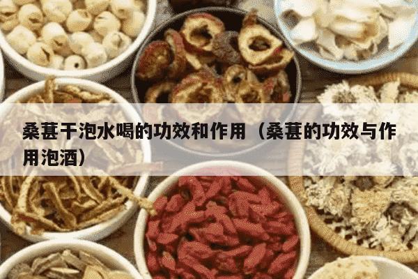 桑葚干泡水喝的功效和作用（桑葚的功效与作用泡酒）